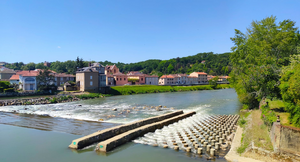 Traitement punaises de lit Chalon-sur-Saône